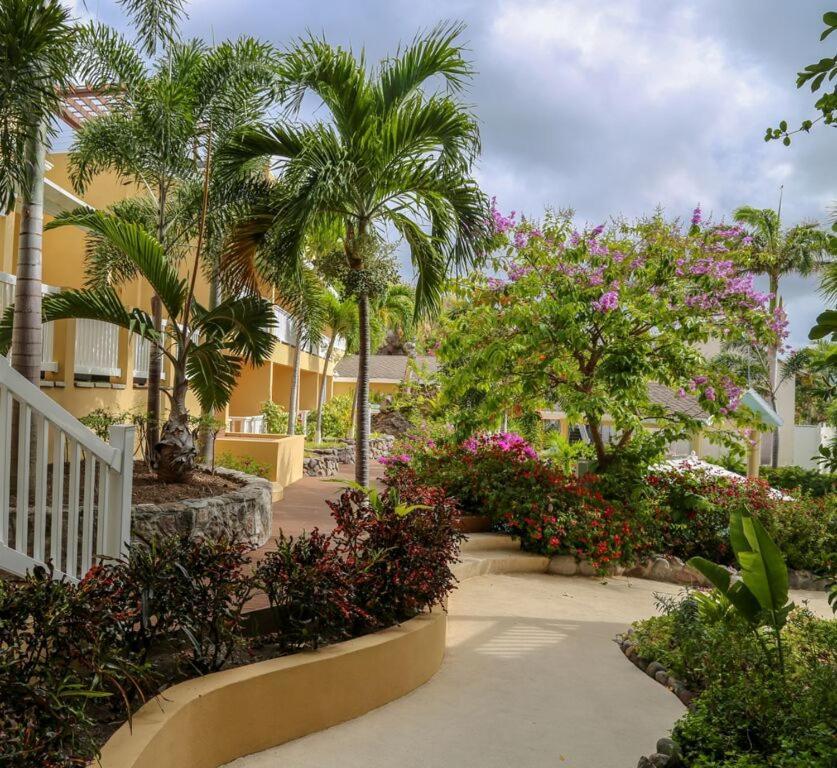 Ocean Terrace Inn Hotel Basseterre Bagian luar foto